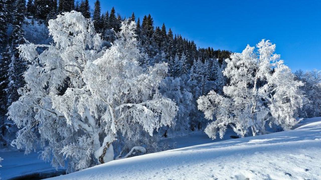 新天地國(guó)際滑雪場(chǎng)
