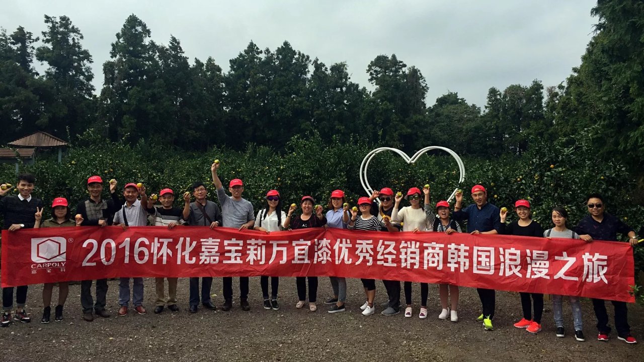 優(yōu)秀經(jīng)銷商國外游