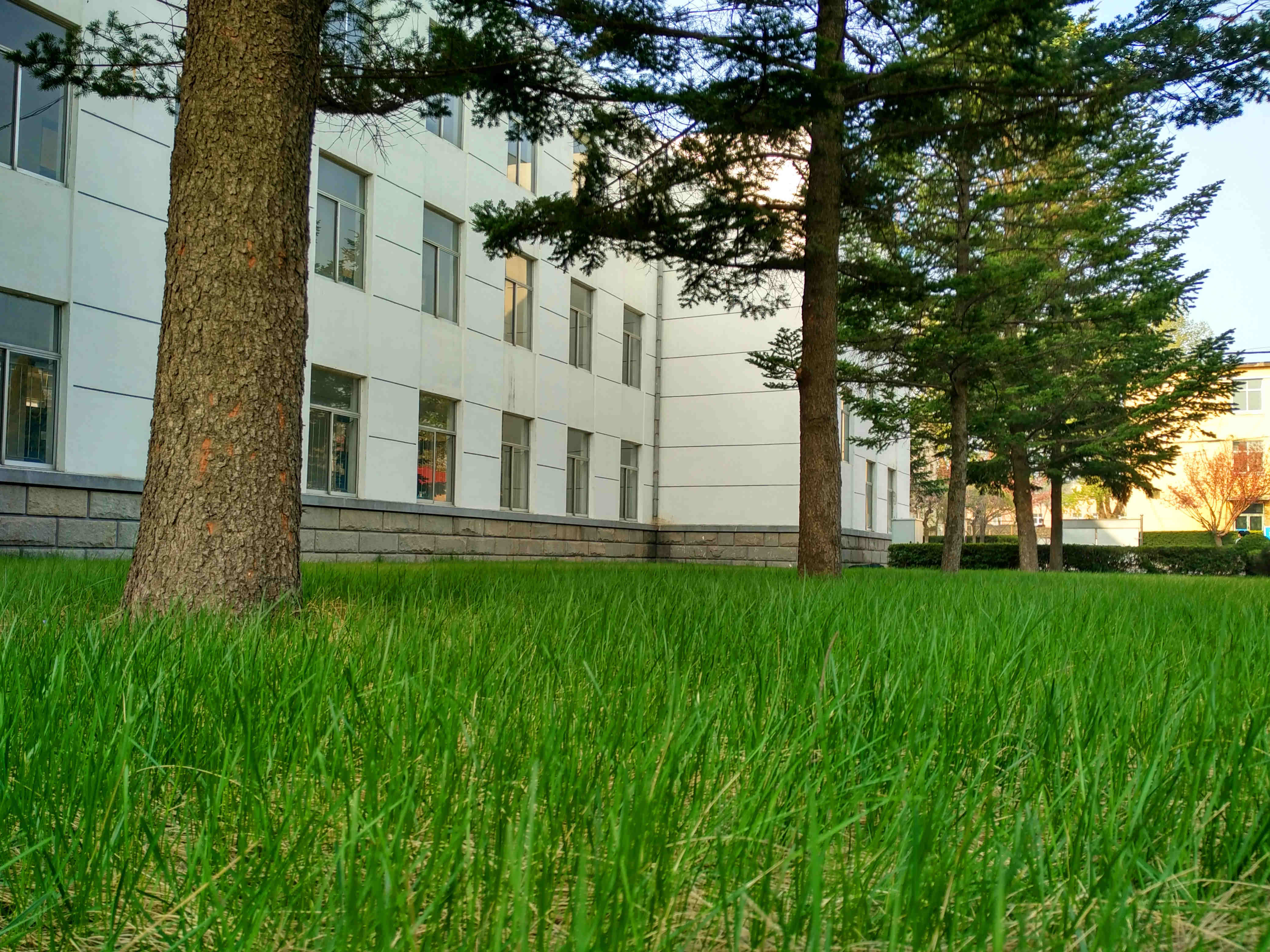 大连海洋大学应用技术学院电气与信息工程系迎