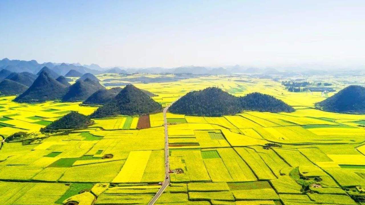 提案暖場(chǎng)視頻