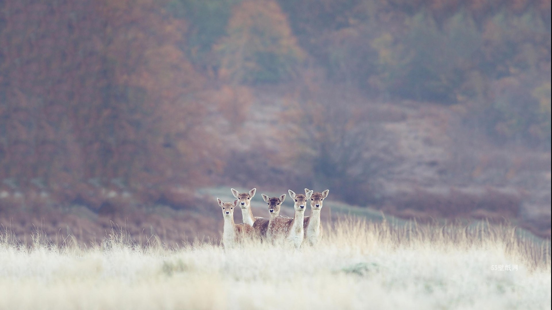 吴同学，余生请多关照