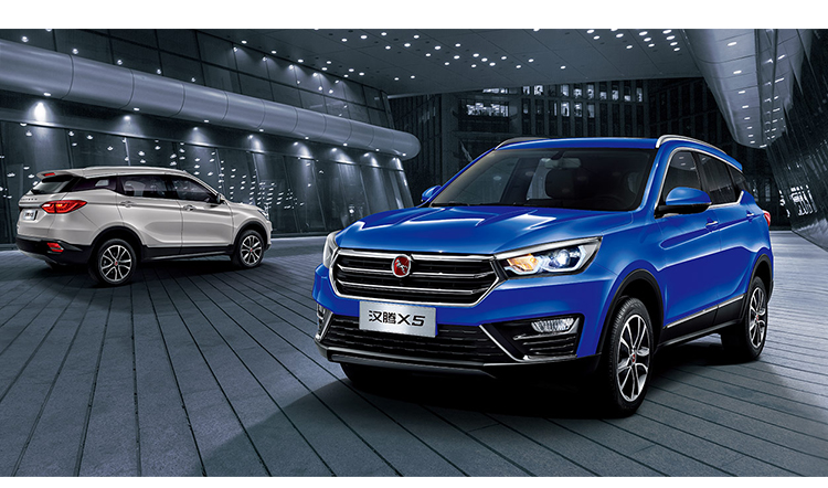 衡水盛杨安平永城直店