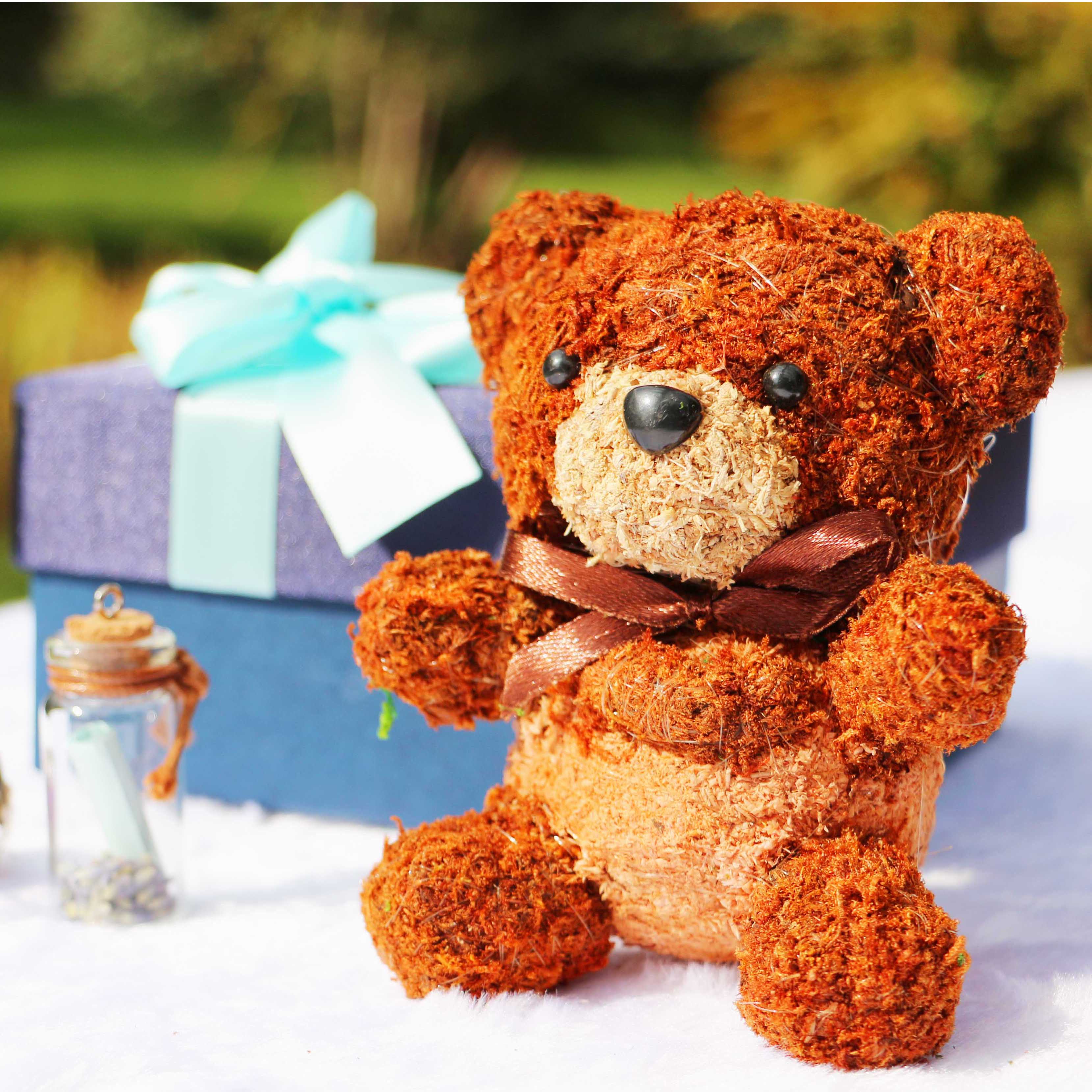 带上真诚，等你