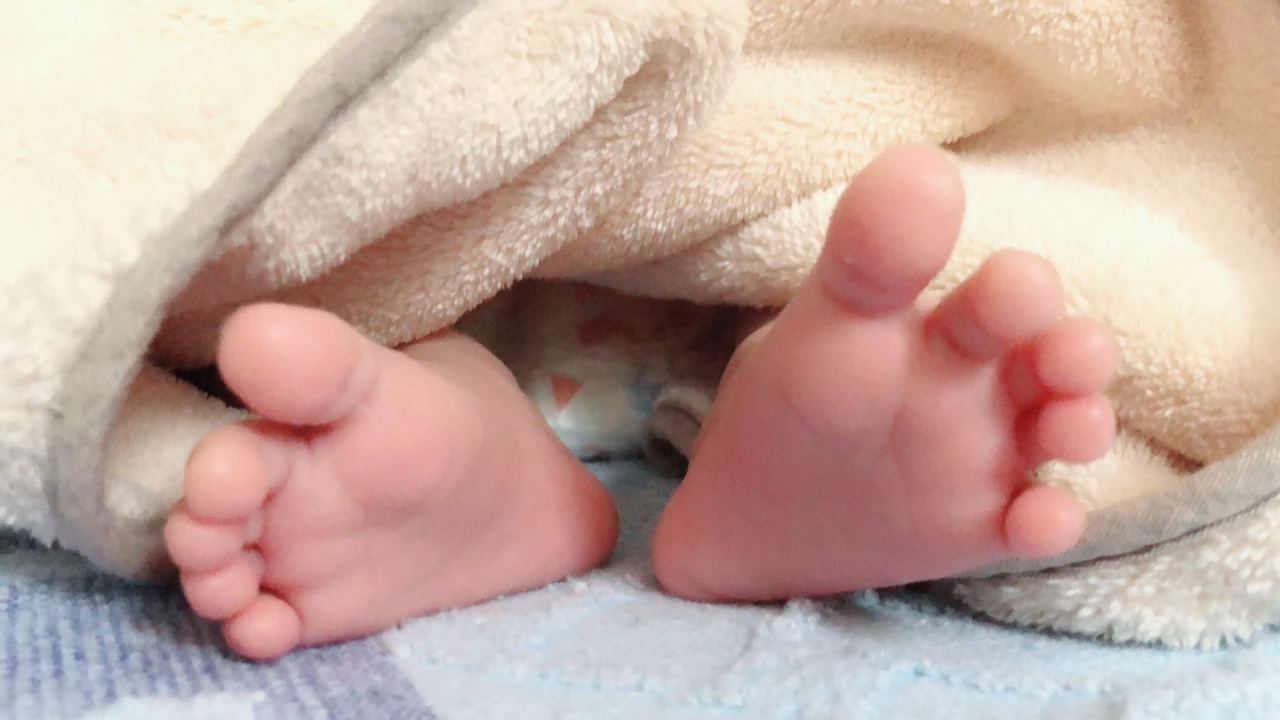 {{Andi}}我的可爱宝宝小乐芙