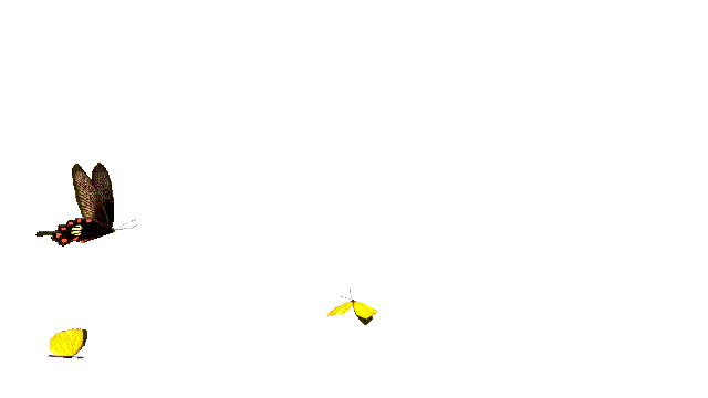 640_360