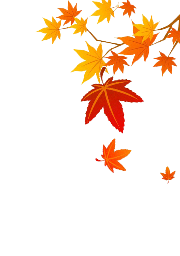 背景 壁纸 花 绿色 绿叶 树叶 植物 桌面 595_842 竖版 竖屏 手机 gif