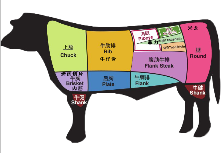 牛肉部位图
