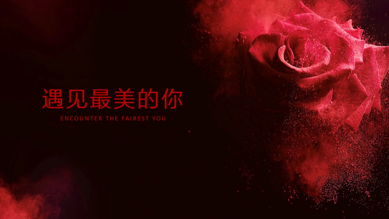 我的玫瑰花 遂平支行宣