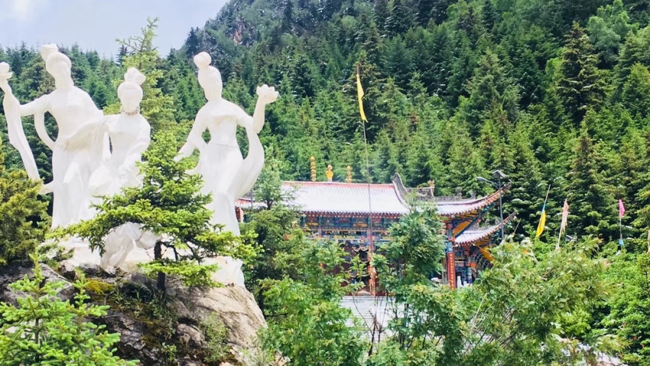 厚重蓮花