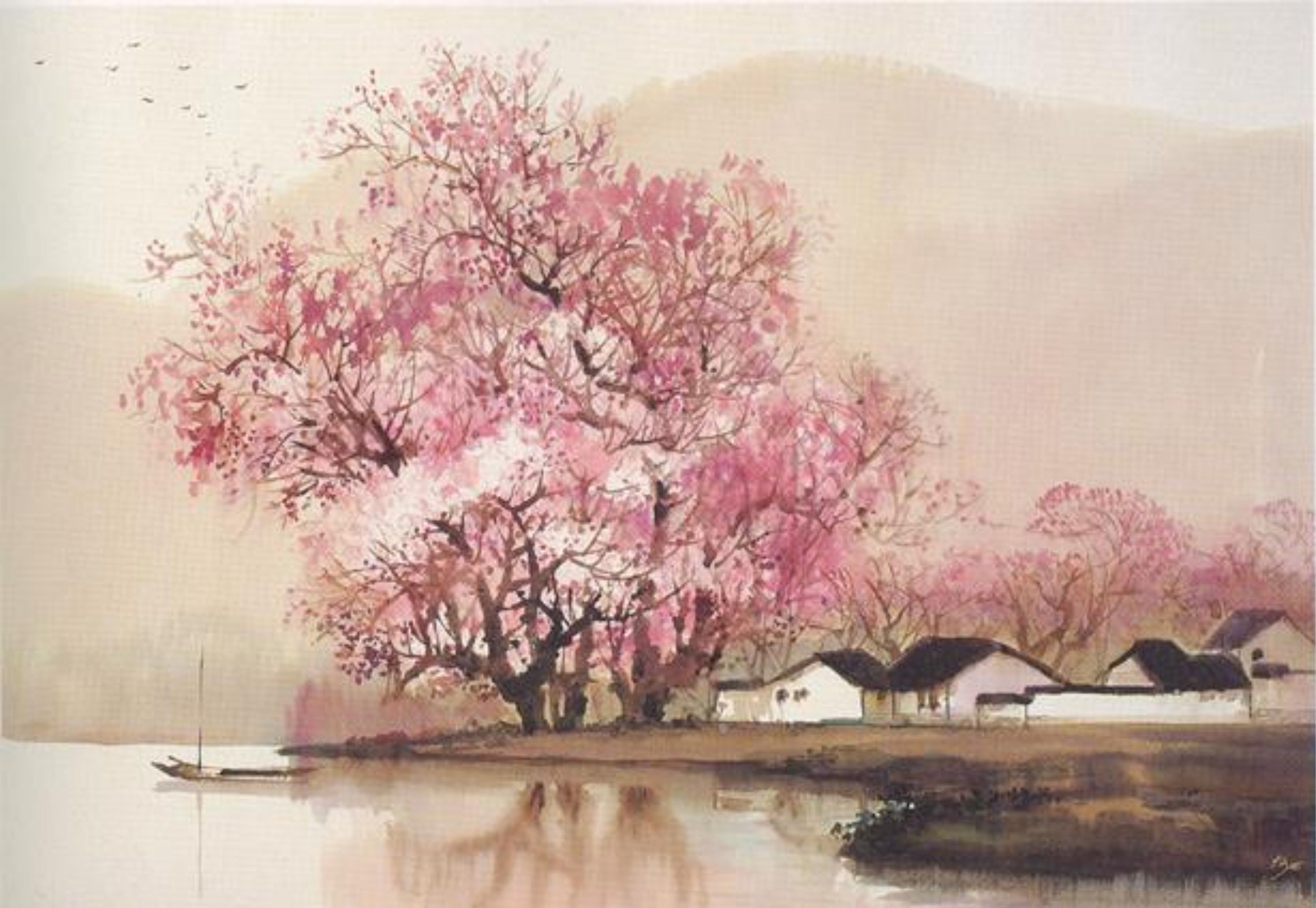 《杏花 烟雨 江南》