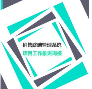 銷售終端管理系統工作推進周報