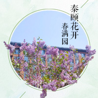 泰頤花開春滿園