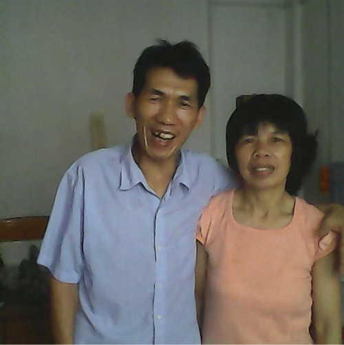 我的宏伟的大树