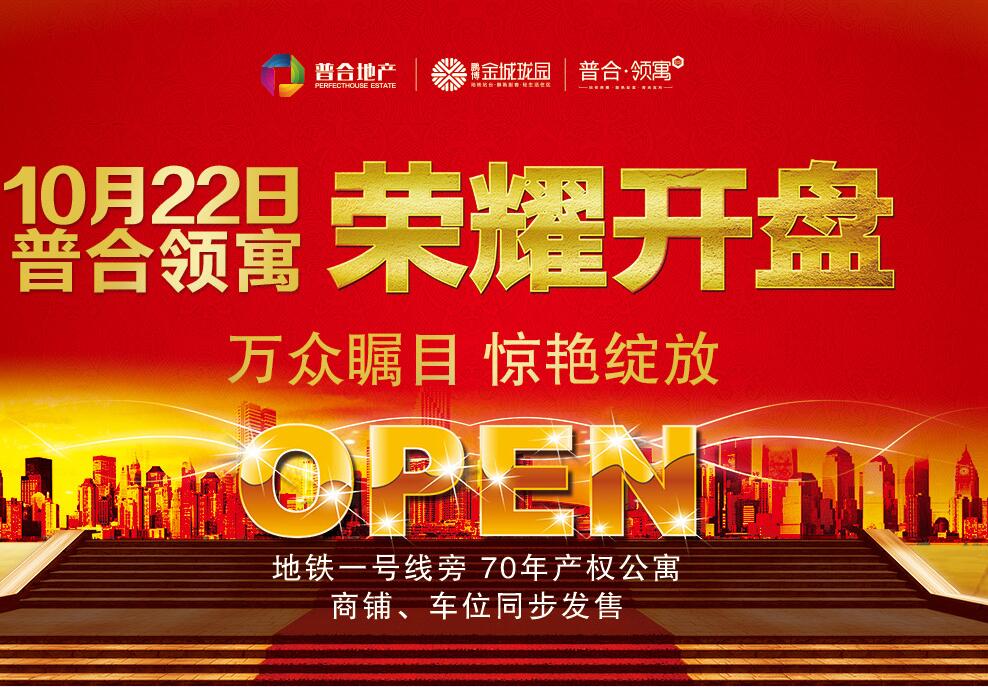 万众瞩目 惊艳绽放 普合领寓盛大开盘