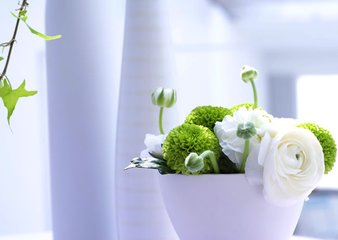 我的爱就像是蝶恋着花