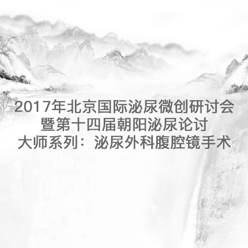 2017北京國際泌尿微創研討會暨第十四屆朝陽泌尿論壇