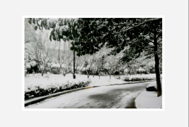 小區(qū)內(nèi)外雪景