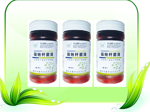 濰坊永昌藥業=-強效桿菌清