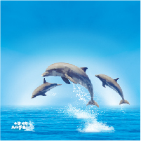 海纳英才  共创未来