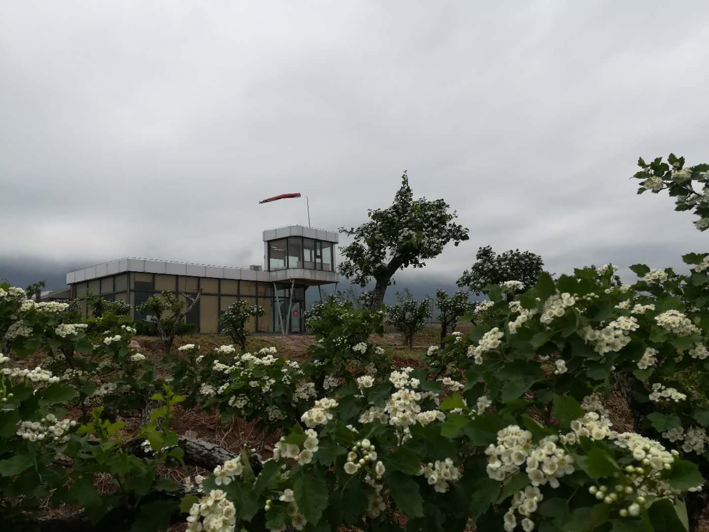 林州航空游览接待中心欢迎您的光临