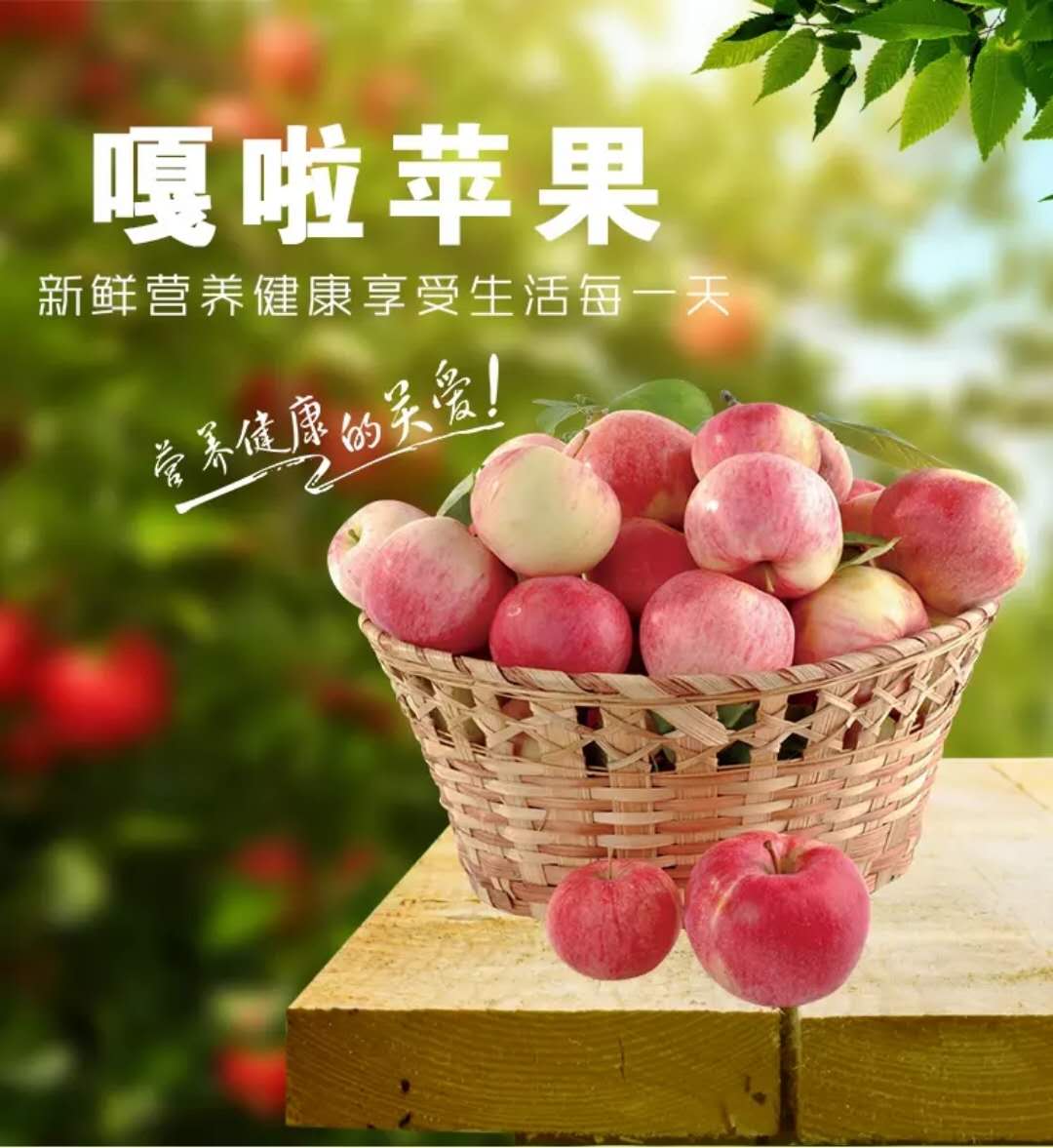 順心果園時令水果8月開園啦！！