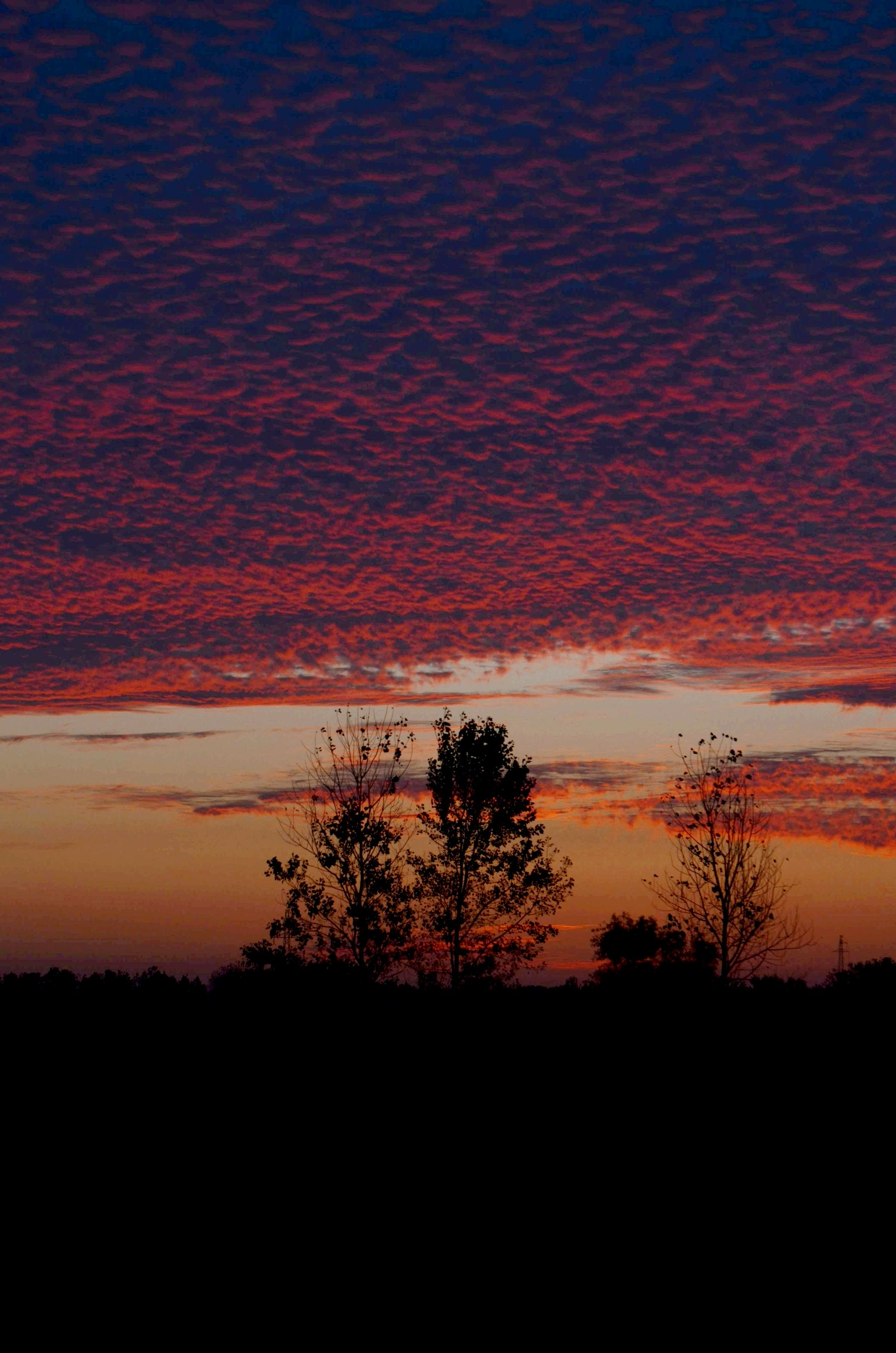 彩霞满天——沈林成/摄