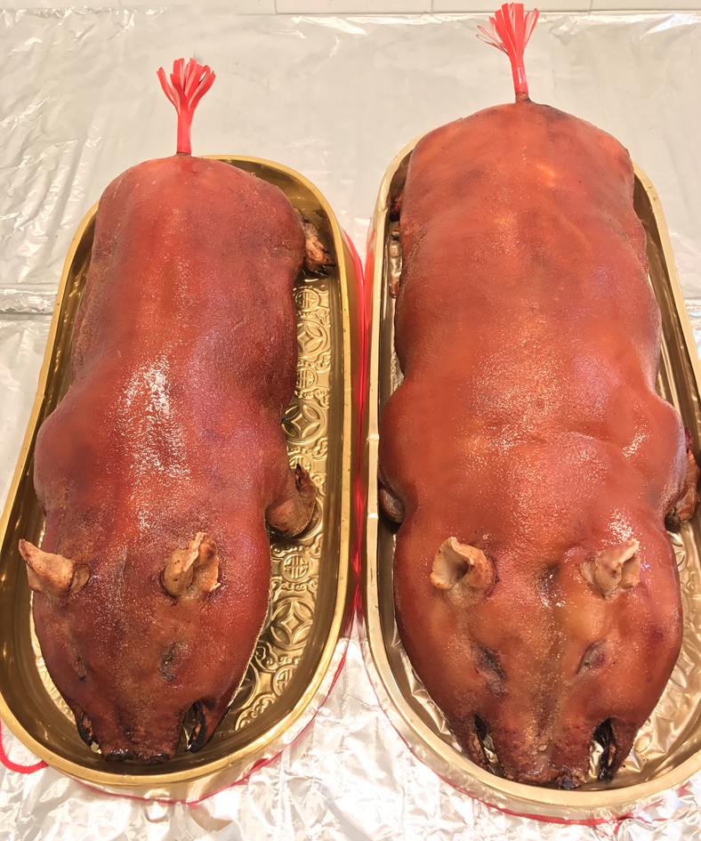 名冠清明鸿运祭祖金猪