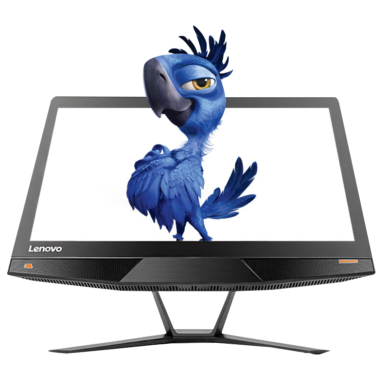 11价: 2*99 家用办公  19.5英寸 e2-7110 4g dvd刻录 联想c2005