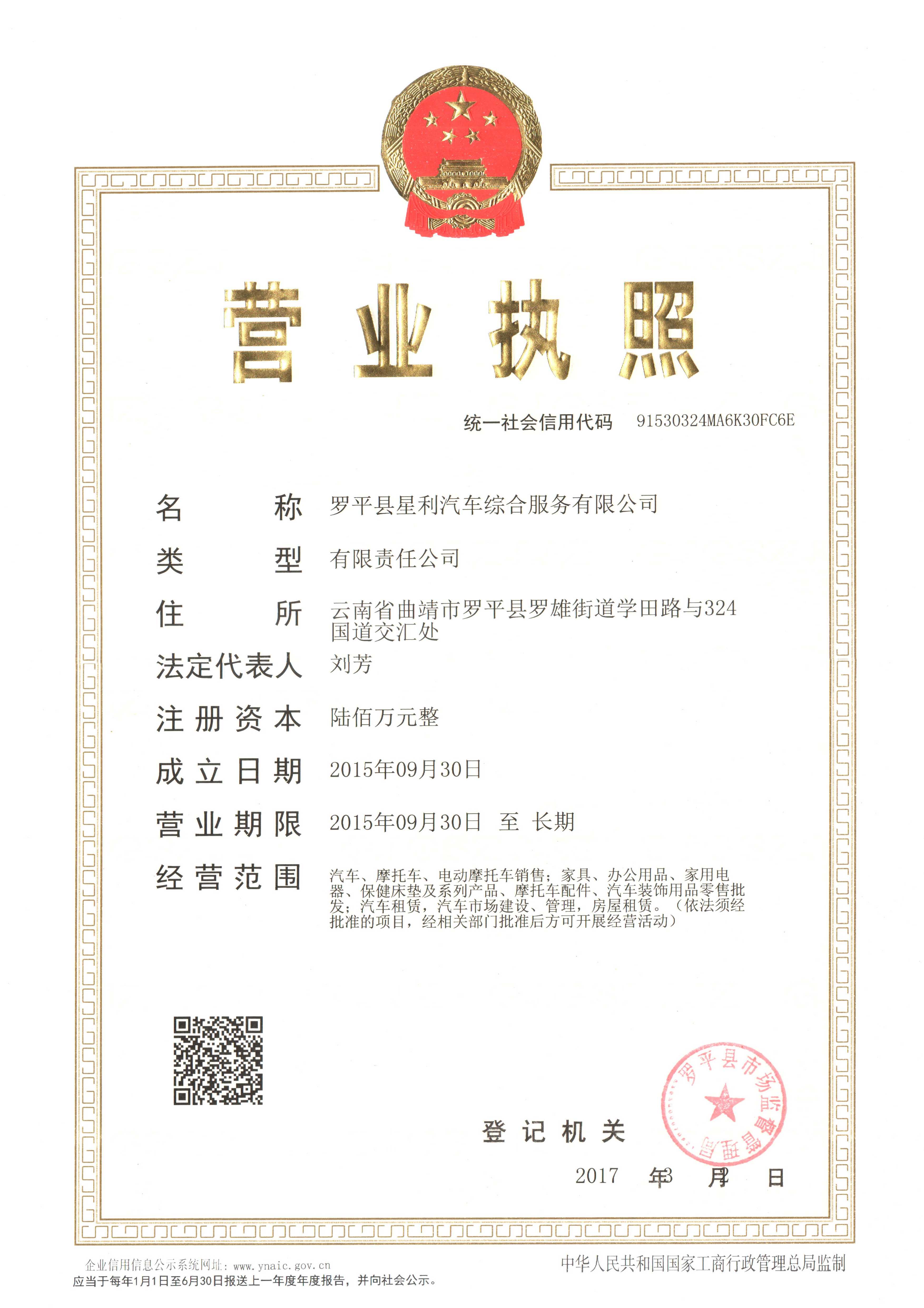 云南星火经贸集团股份有限公司简介