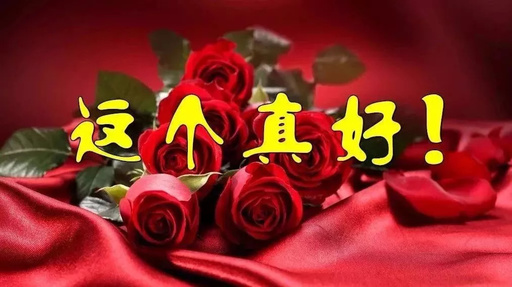 今天是《朋友节》 最美祝福送给我最好的朋友!