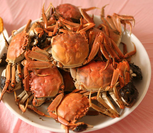 再配以当地人的传统厨艺,让您品尝地道的白洋淀特色美食