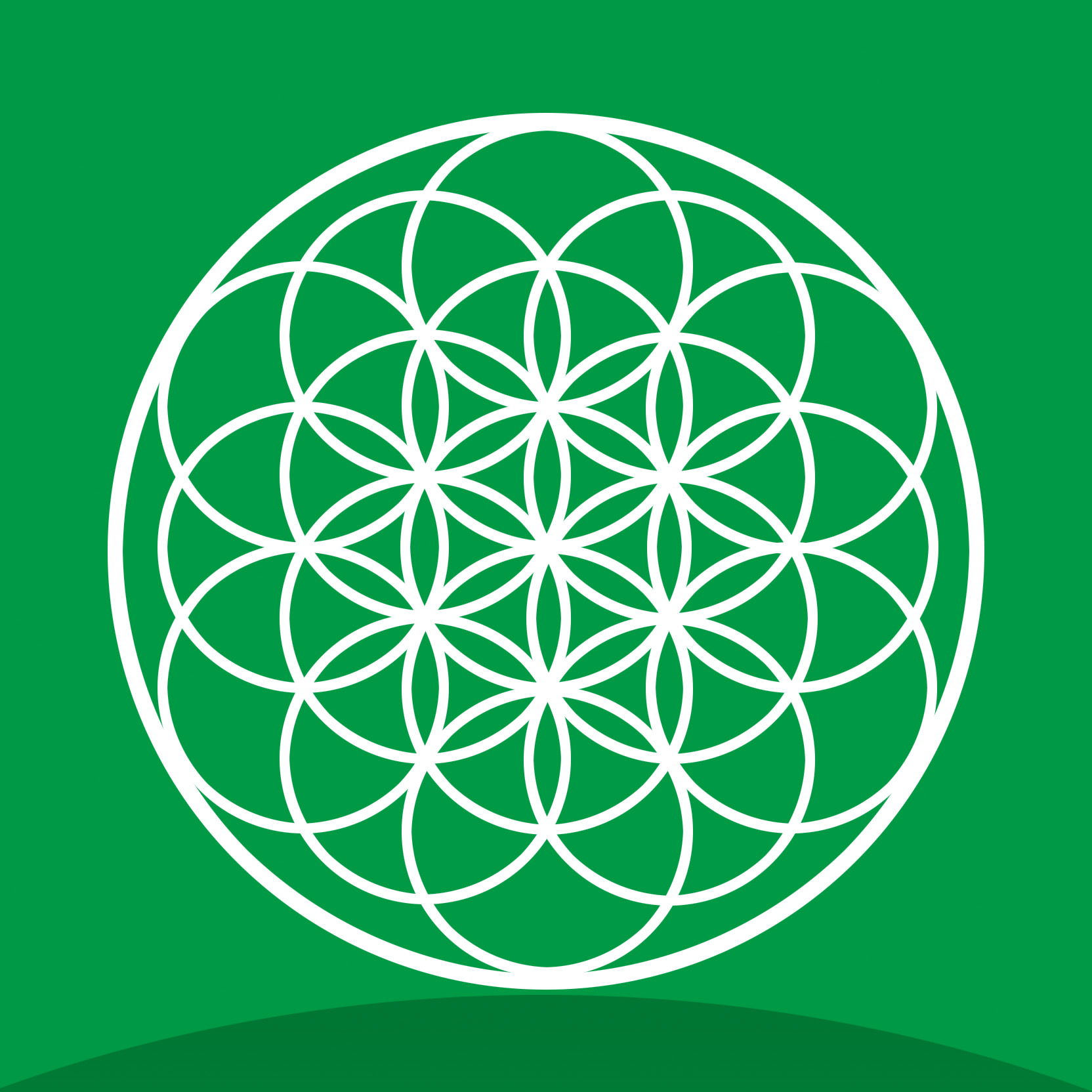 让生命之花健康绽放!