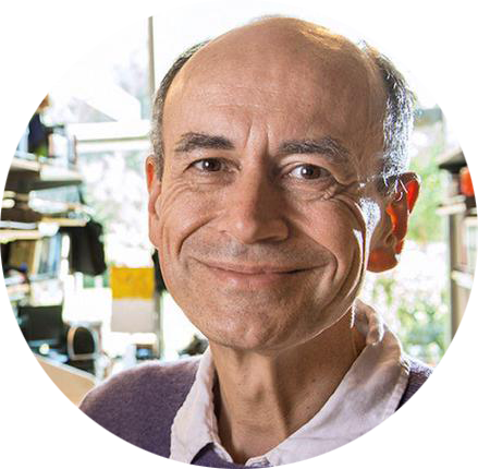 sean hill 瑞士"蓝脑计划" 联合负责人 thomas sudhof    诺贝尔奖