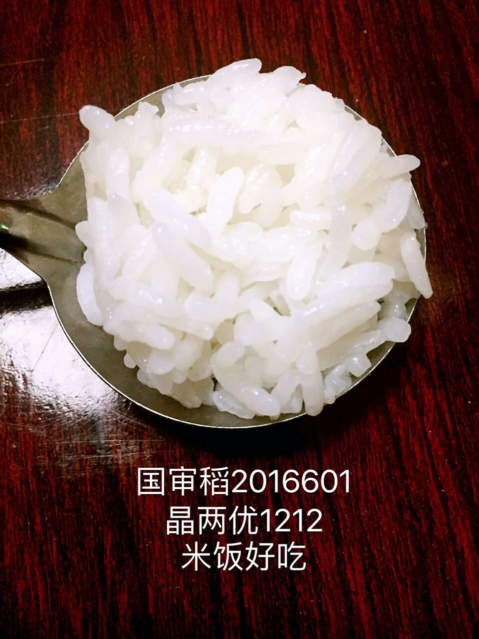 晶兩優1212誠邀華南優秀代理商,合作共贏