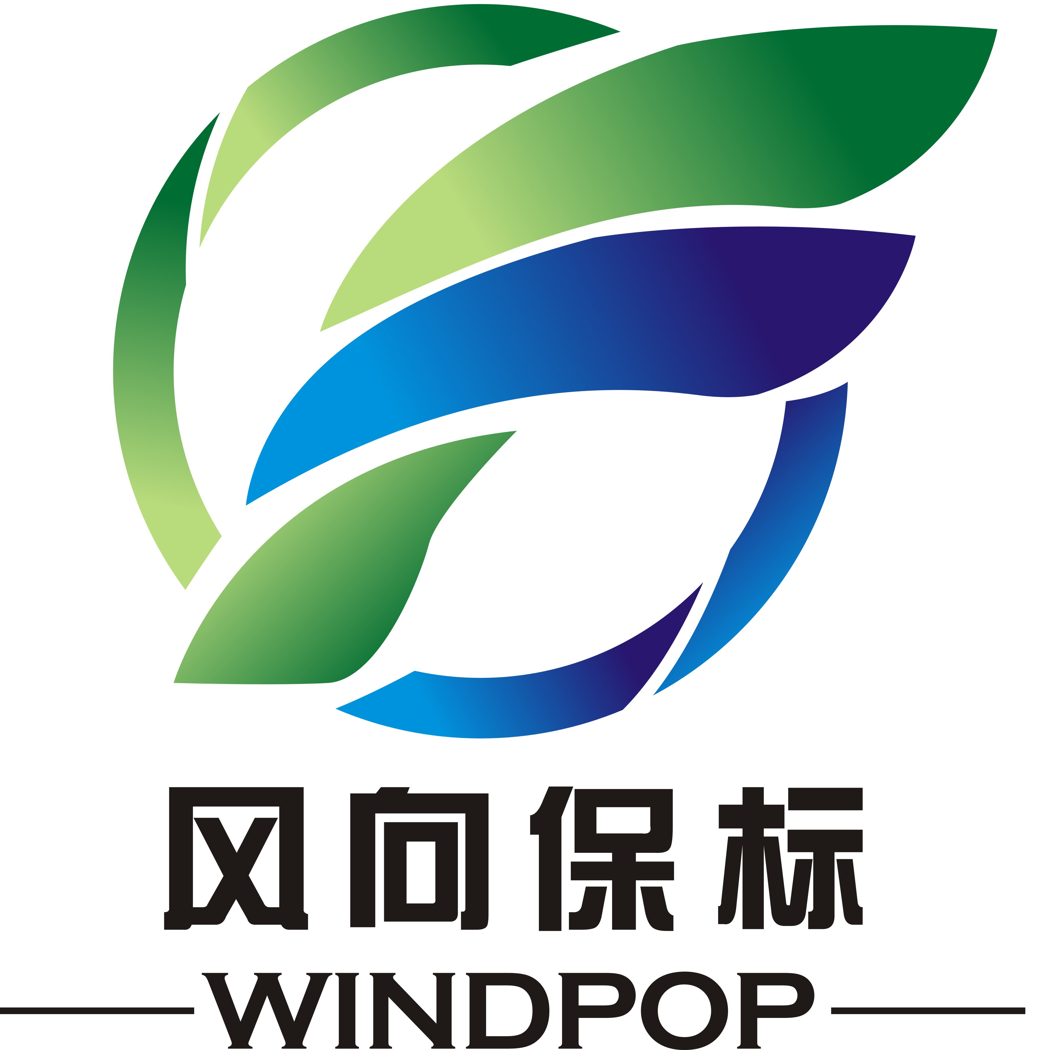 新能源乘用车