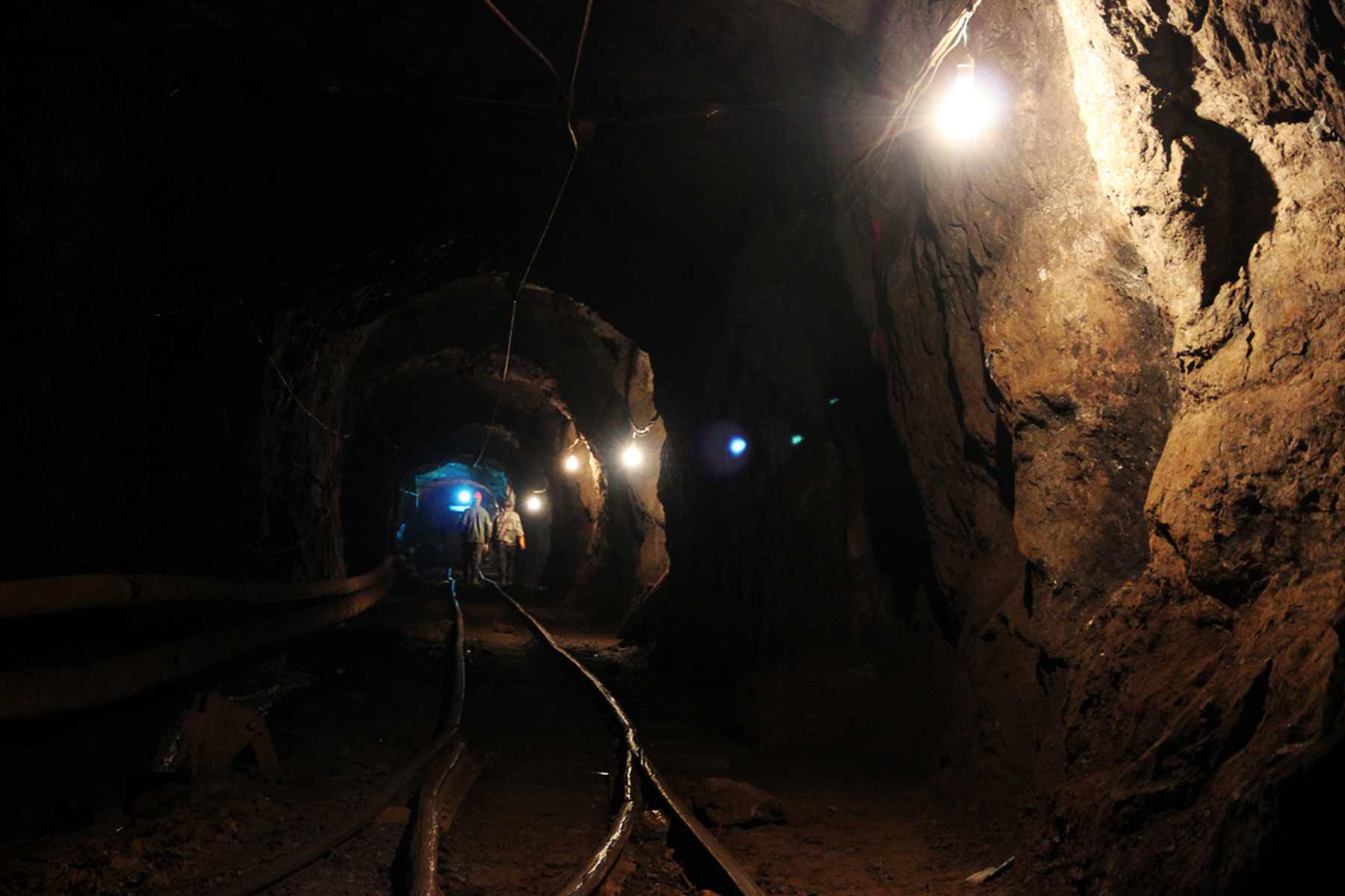 新农业·新健康·新旅游