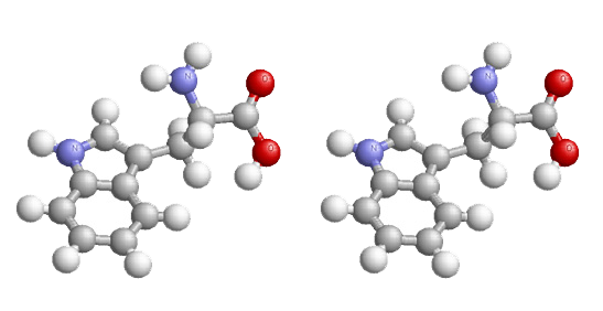 β-乳球蛋白 (很强的致敏性) 小分子蛋白质保留 (多肽及氨基酸)