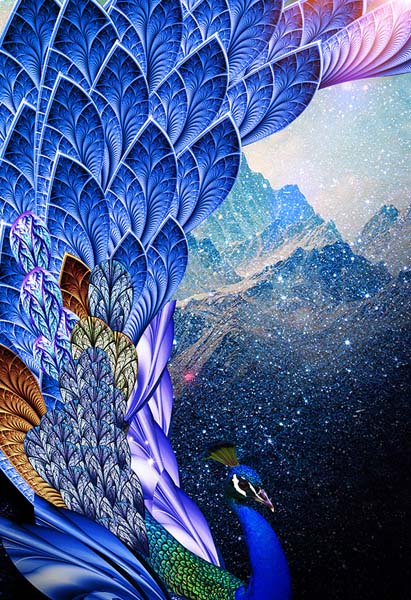 【蓝孔雀装饰】——梦想合伙人