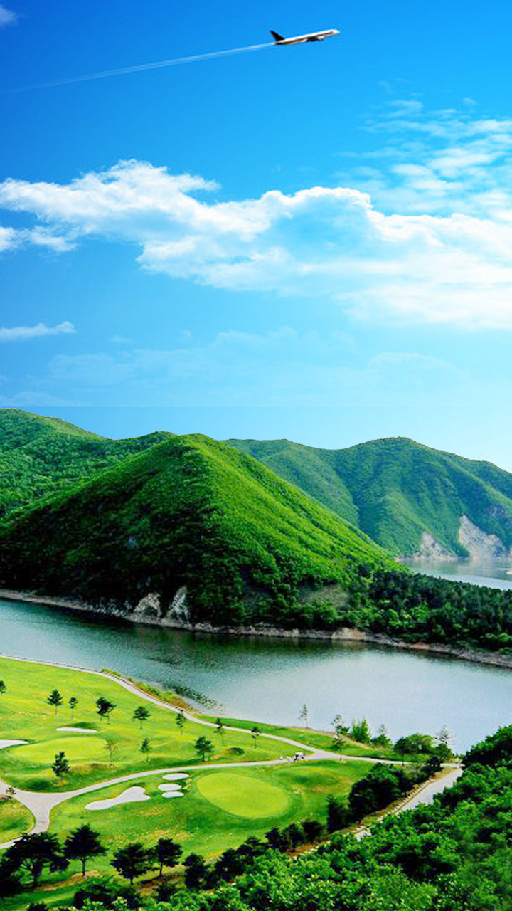 [副本]东北野生椴树蜜