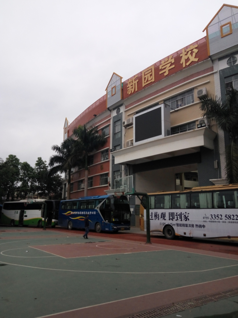 新园2017社会实践记实