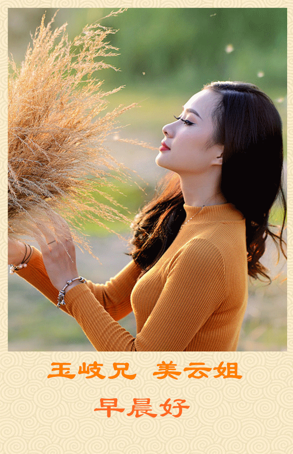 问候天富兄等早上好。背景音乐：芦花