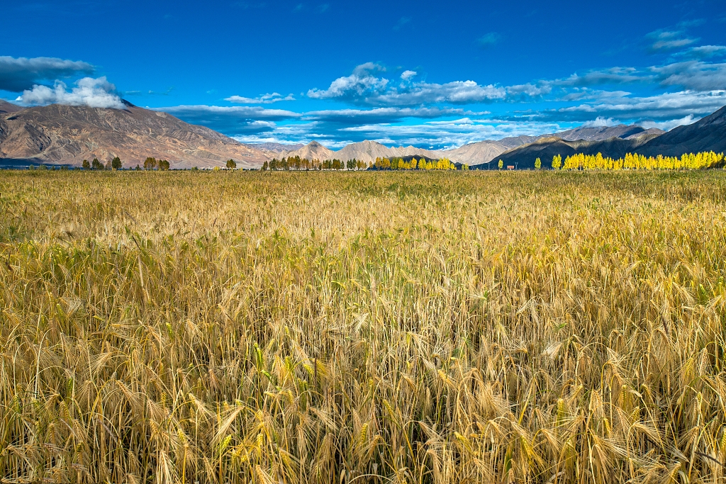来日喀则，邂逅珠峰故乡