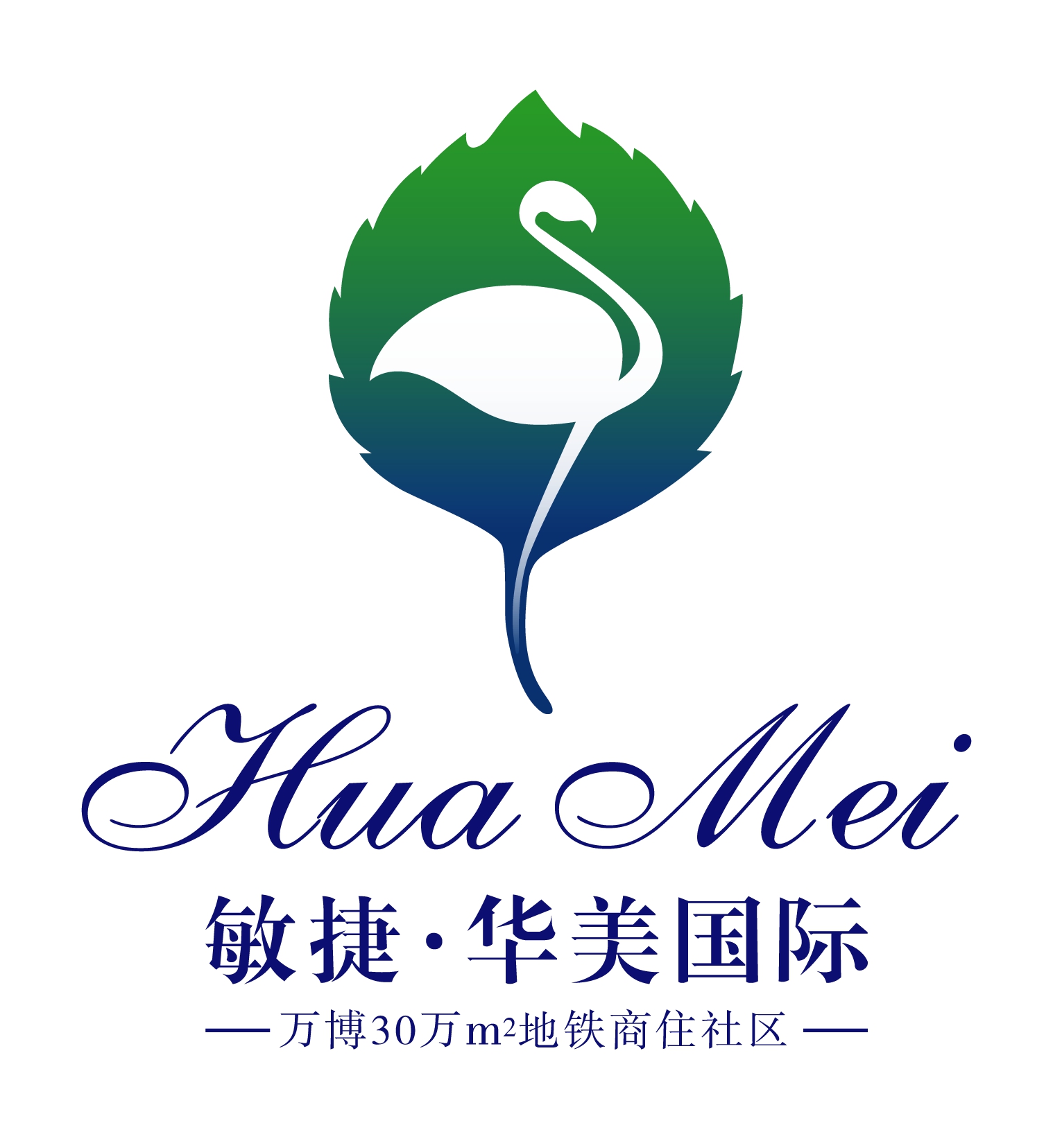 敏捷华美国际5月工作汇报