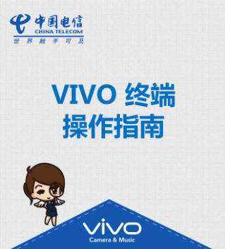 VIVO 终端操作指南