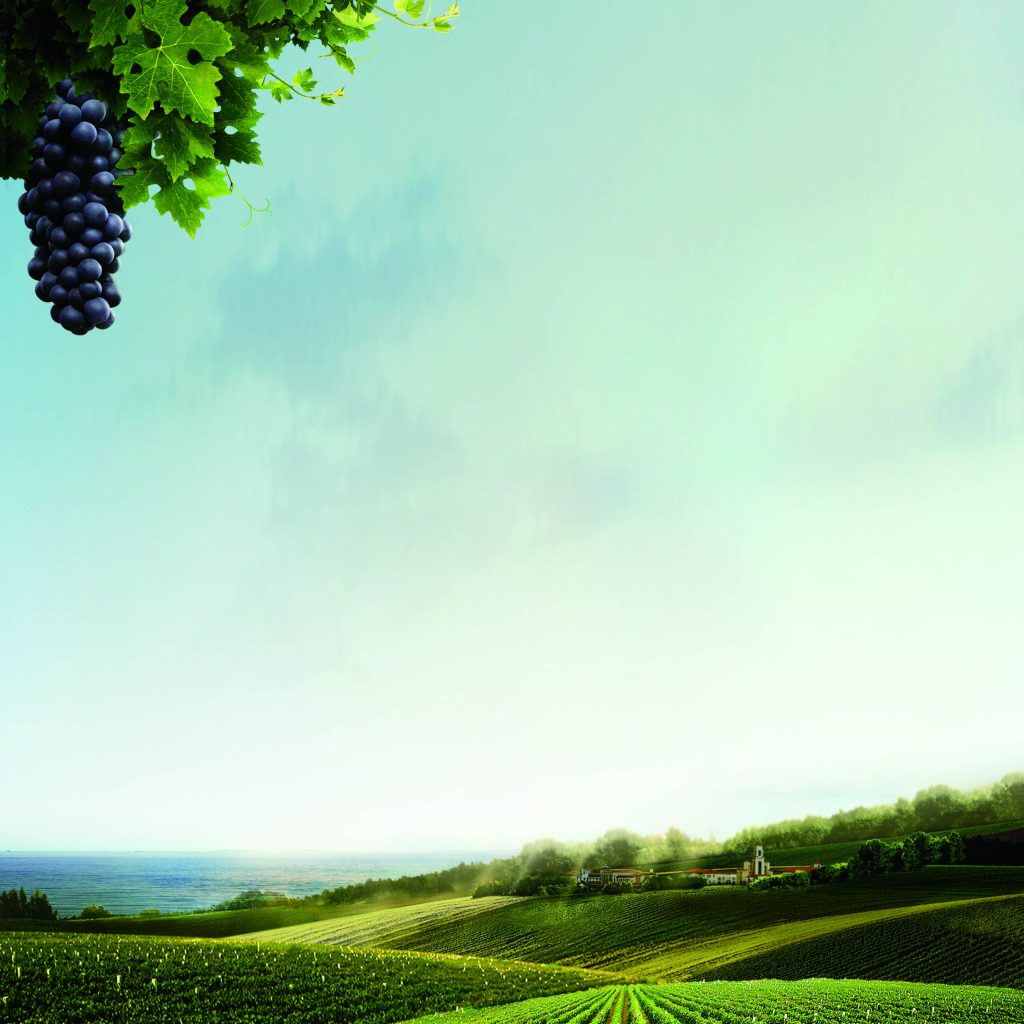 开启葡萄酒的学习之旅!