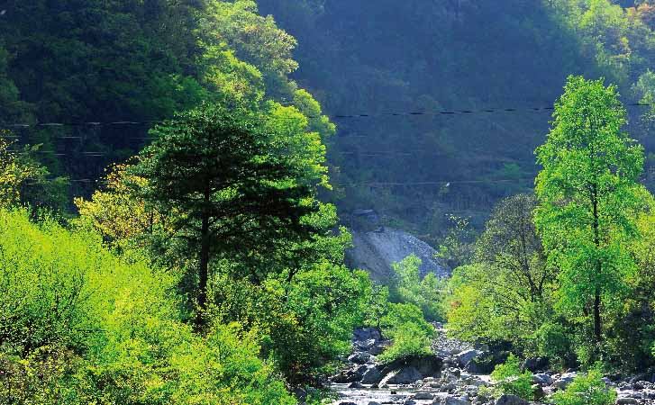 陝西·漢中·洋縣 aaaaa級景區 太白山 所在區域: 陝西省·寶雞市