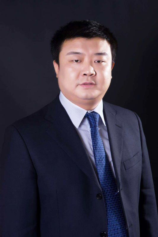 首席心理学家  香港盛隆国际商贸集团教育总裁 王纪琼