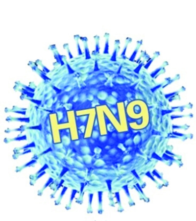 防控h7n9,这些你必须知道