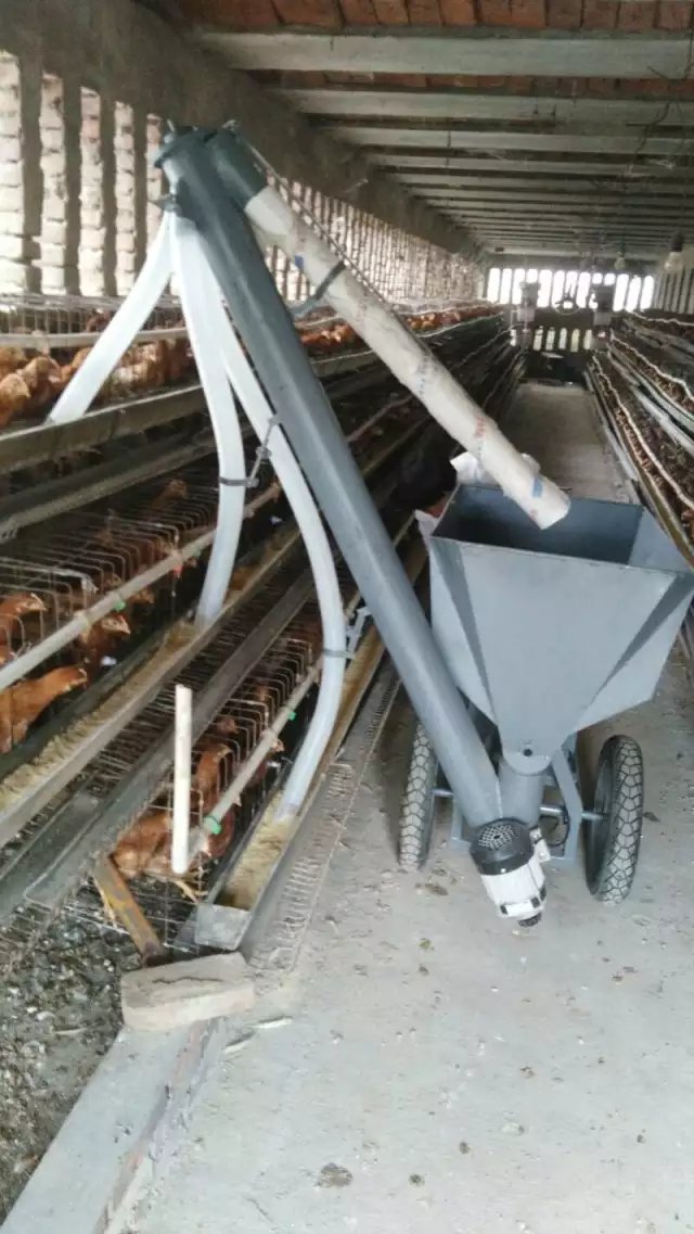 相 遇 梦 幻 紫 色 翔羽新款蛋鸡肉鸡电动喂料机