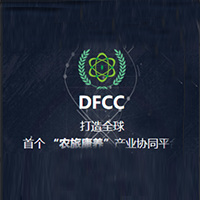 DFCC大丰链项目介绍